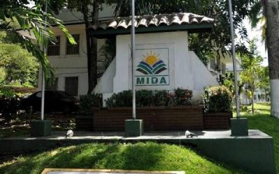 Ministro del MIDA asegura que solo debe $21 millones a productores de arroz de Chiriquí